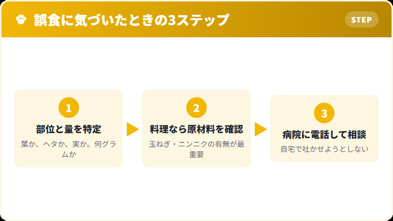 猫がピーマンを食べたときの対応3ステップ