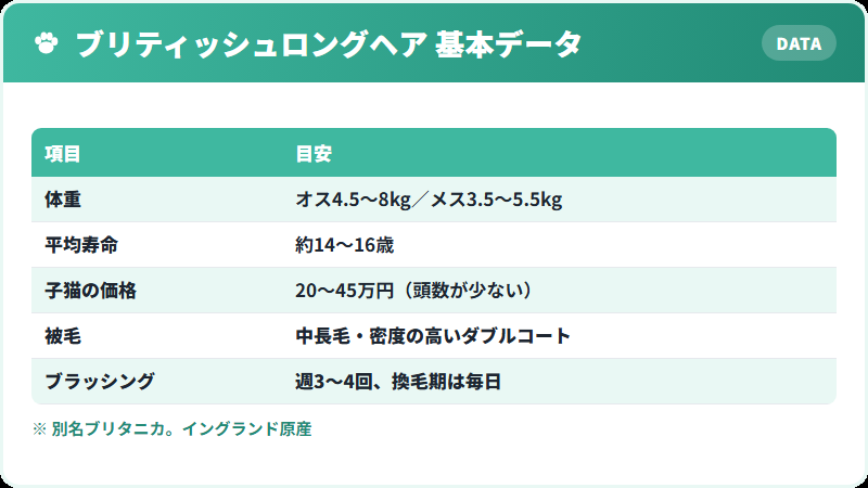 ブリティッシュロングヘアの基本データ 体重・寿命・価格の一覧