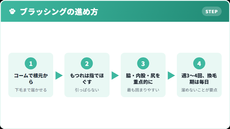 ブリティッシュロングヘアのブラッシング手順