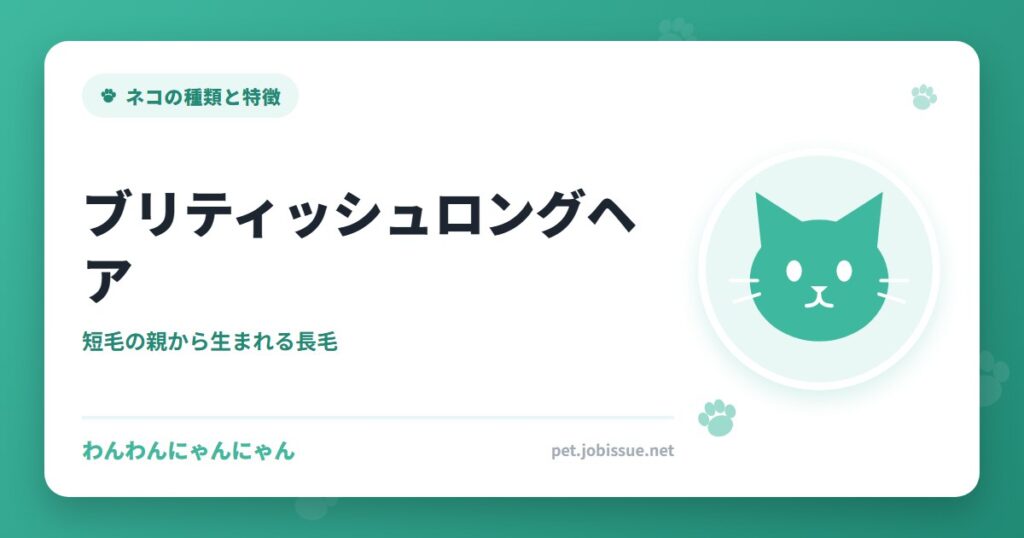 ブリティッシュロングヘア