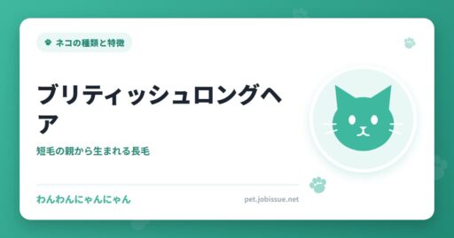 ブリティッシュロングヘア