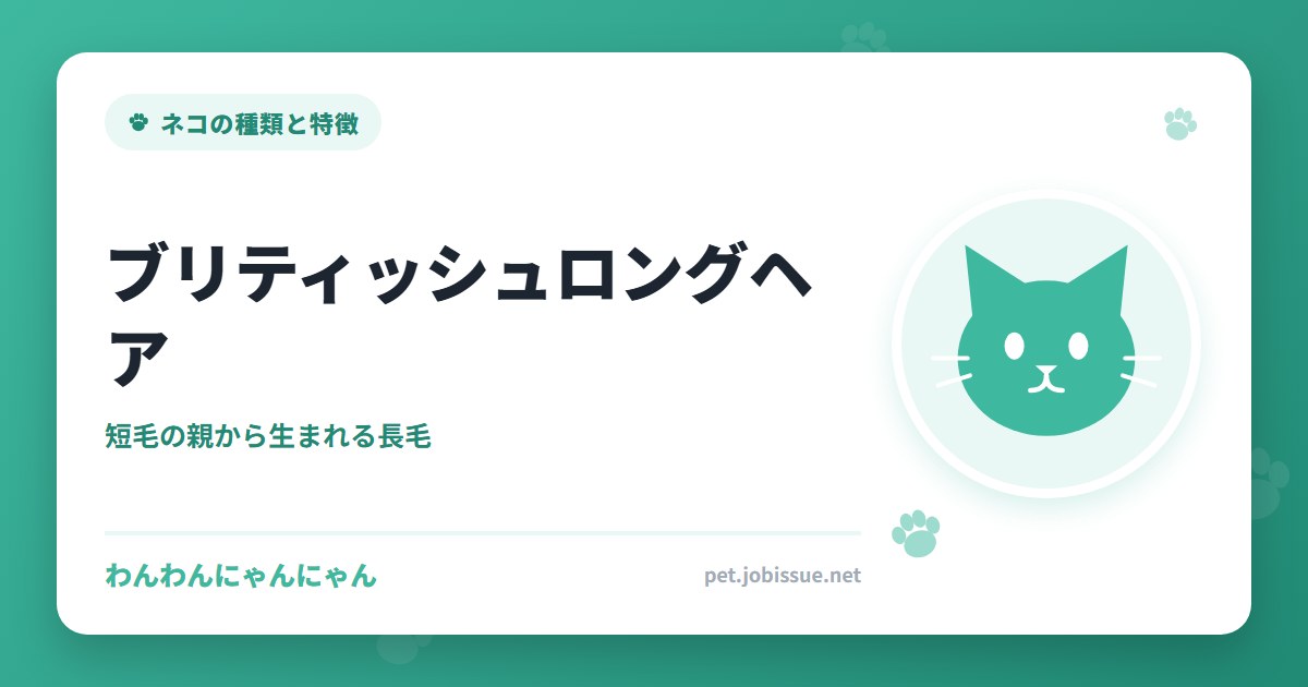 ブリティッシュロングヘア