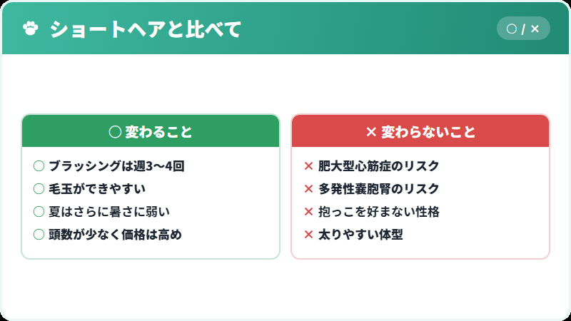 ブリティッシュショートヘアとロングヘアの比較