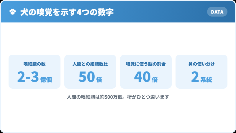 犬と人間の嗅覚を比較した数値データ
