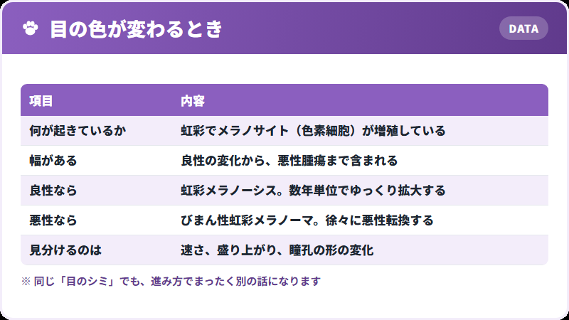 虹彩のシミ