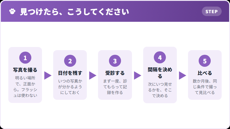 記録の取り方