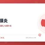 犬の角膜炎