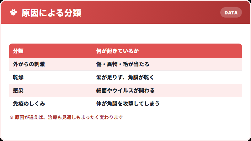 角膜炎の原因による分類