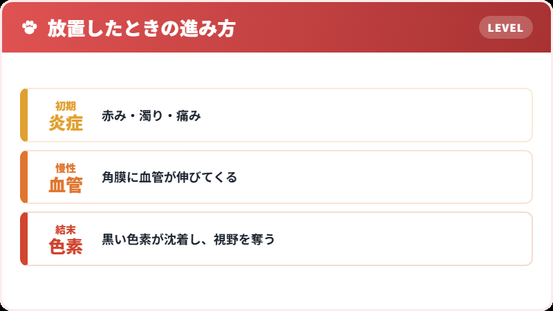 色素性角膜炎という結末