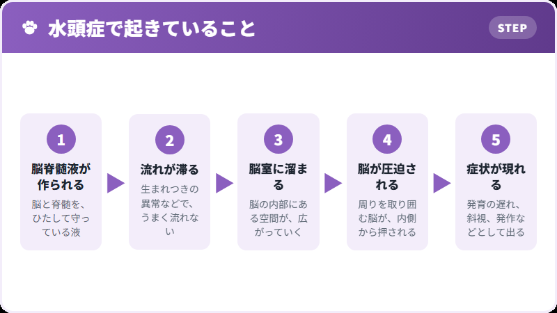 体で起きていること
