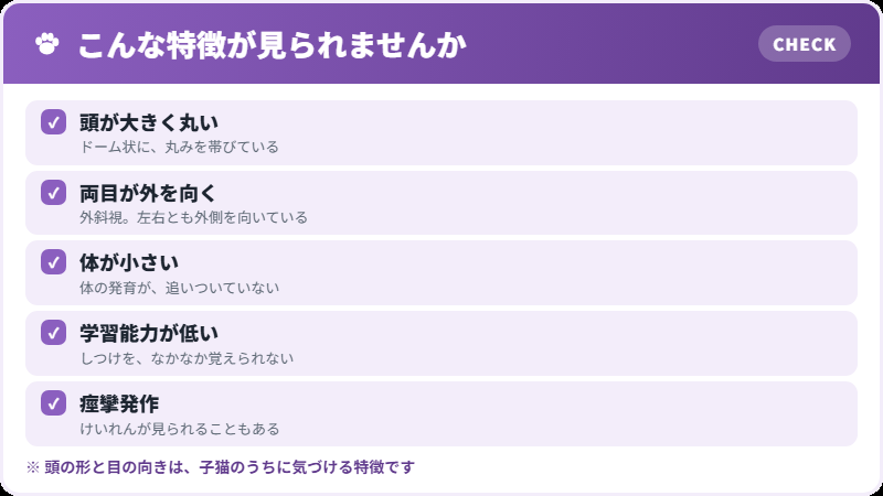 見た目の特徴