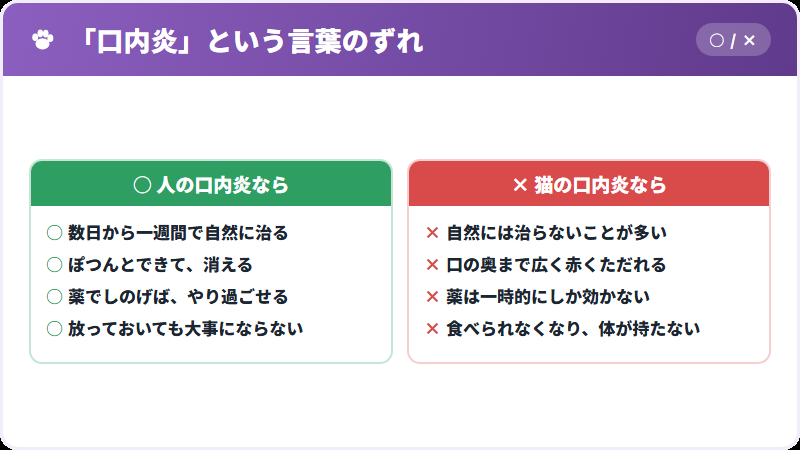 人の口内炎との違い
