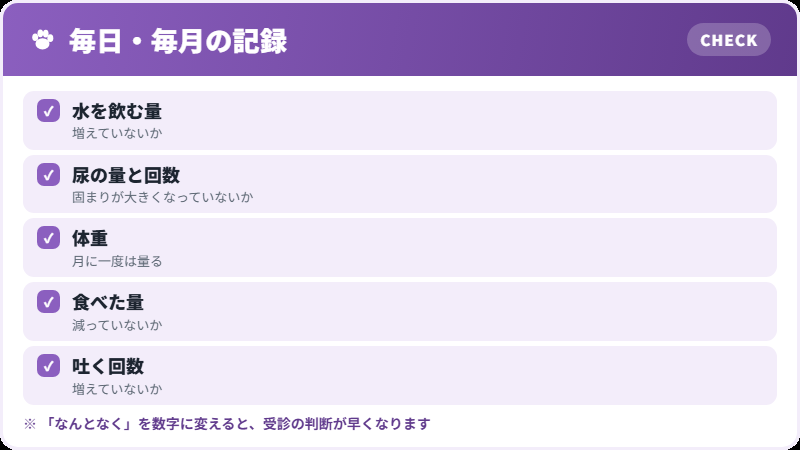 家で見ておくこと