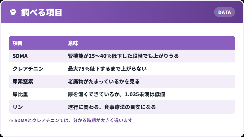検査で見るもの