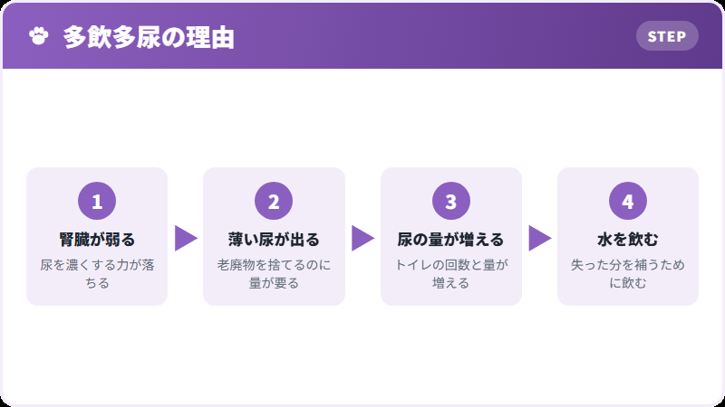 なぜ水をたくさん飲むのか