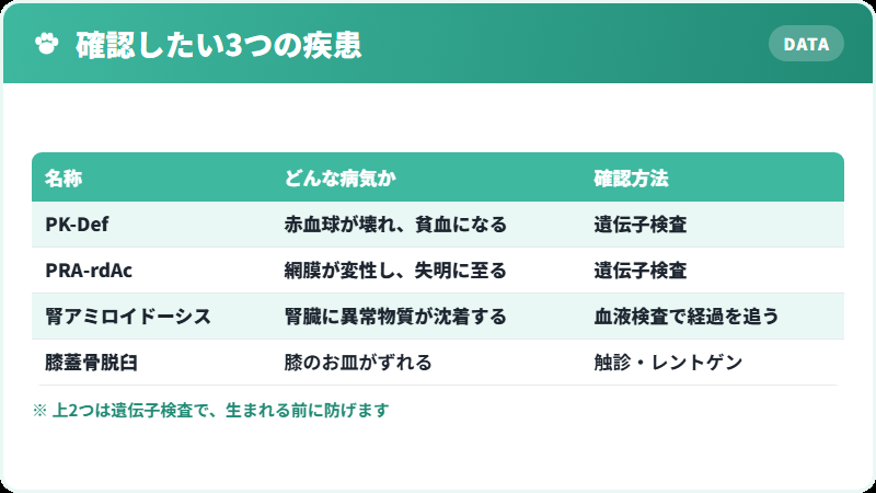 アビシニアンで確認したい3つの遺伝性疾患