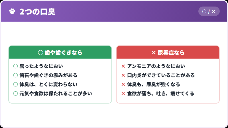 歯の問題との違い