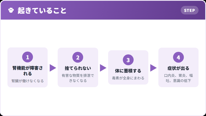なぜ毒素がたまるのか