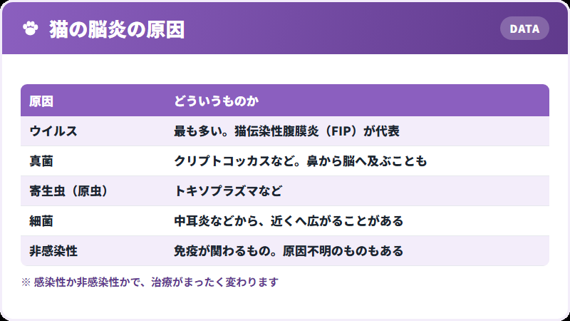 原因になるもの