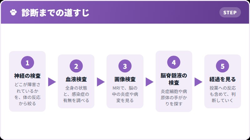 診断の流れ