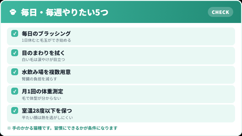 ヒマラヤンの毎日・毎週のケア チェックリスト
