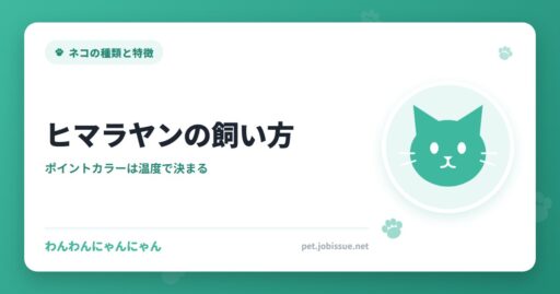 ヒマラヤンの飼い方