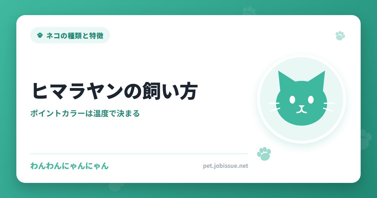 ヒマラヤンの飼い方