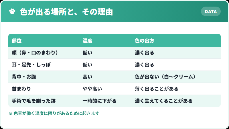 ポイントカラーが体温で決まる仕組みを示した図