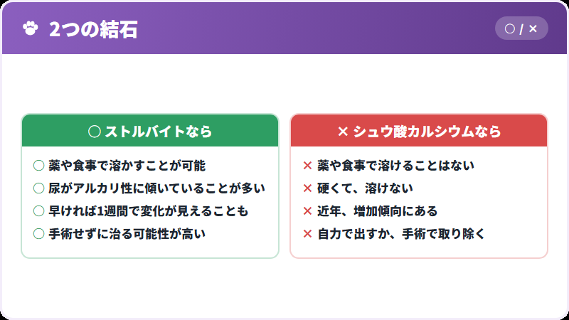 2つの結石