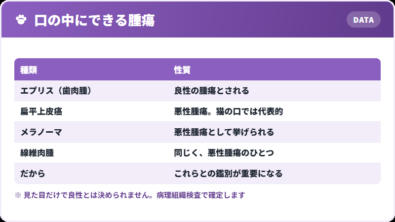口の中にできる腫瘍