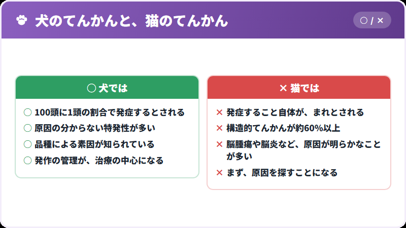 犬との違い