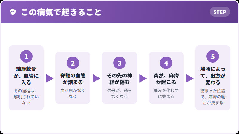 体で起きていること
