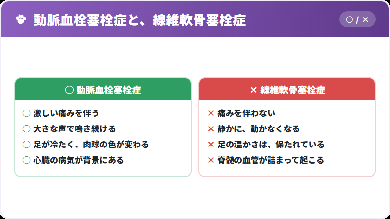 二つの塞栓症の違い