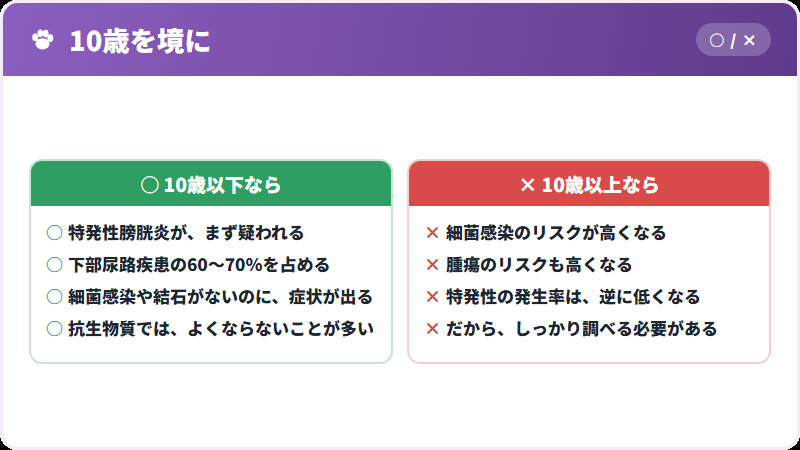 年齢による違い