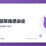 猫の下部尿路感染症