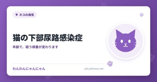 猫の下部尿路感染症