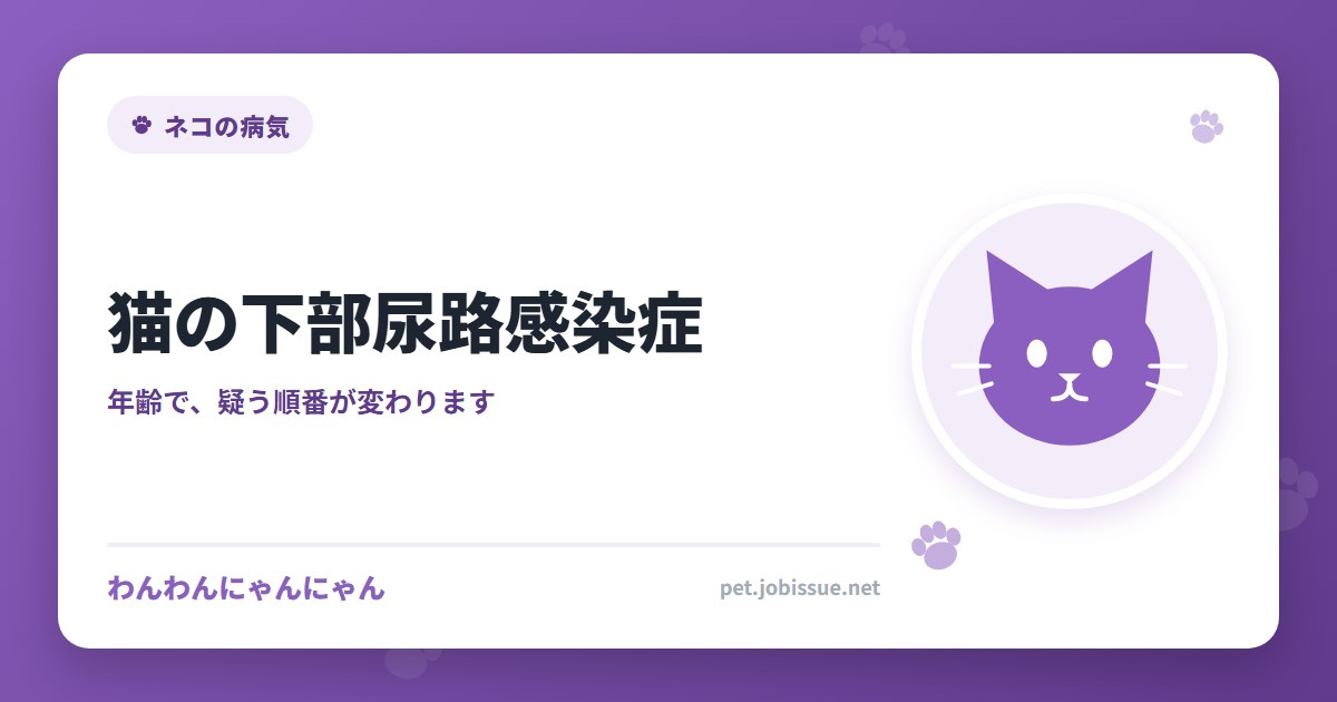 猫の下部尿路感染症｜細菌が原因のことは、実は多くありません