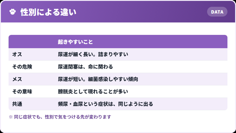 オスとメスの違い