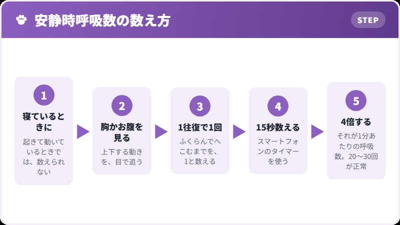 呼吸数の数え方