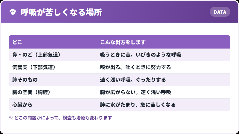どこの問題か