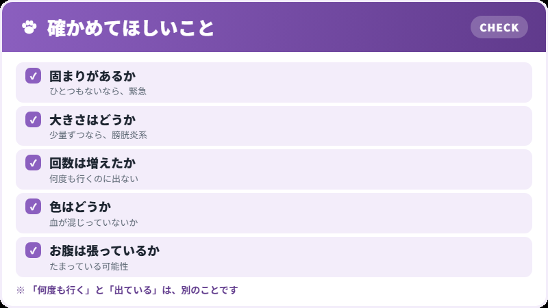 トイレで確かめること