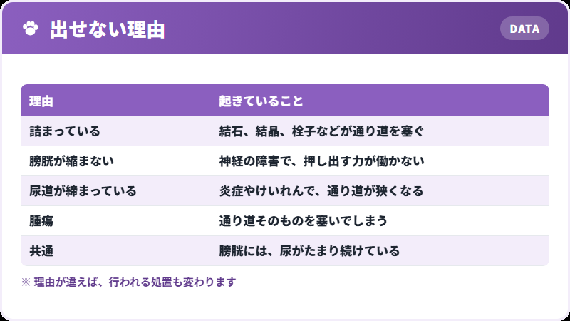 出せない3つの理由