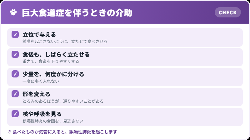 食事の介助