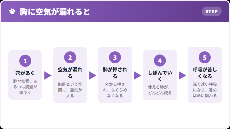 気胸が起きるまで