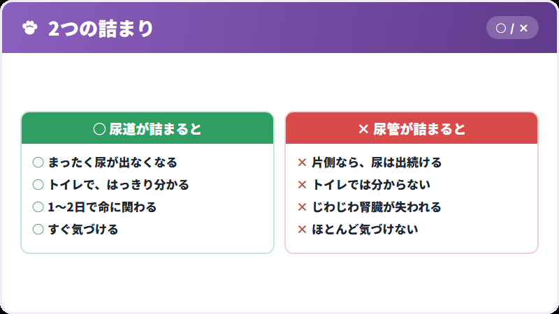 尿道閉塞との違い