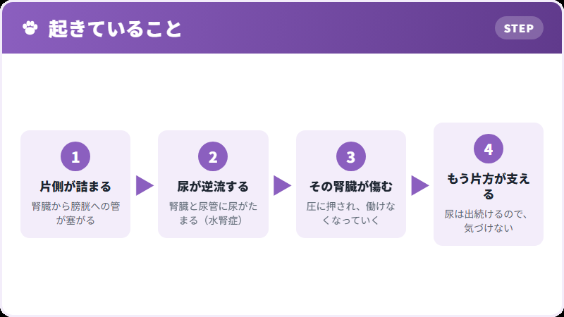 黙ったまま進むこと