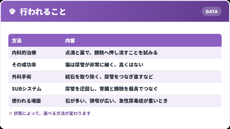 治療の選択肢