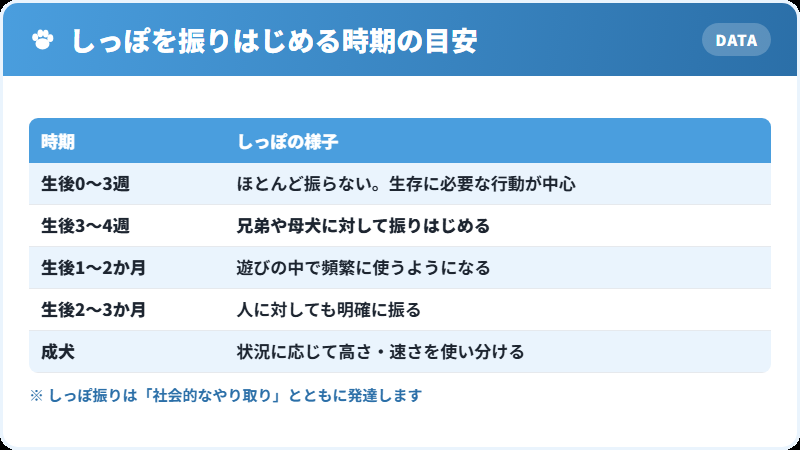 子犬がしっぽを振りはじめる時期の目安