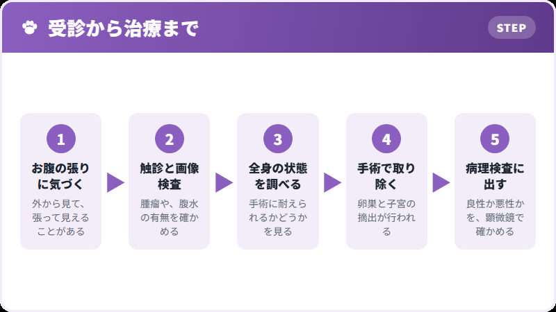 診断と治療の流れ