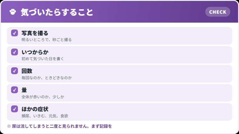 記録の仕方